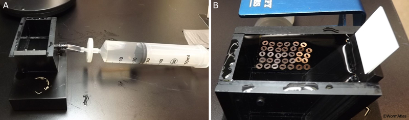 EMGridmakingFIG 1: ATUM (Automated Tape collection device for the UltraMicrotome